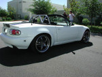 With Stock Bumpers