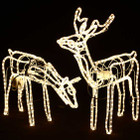 3D Deer Couple Christmas Motif Clear Rope Lights
