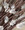 LED Multi Colours Brown Christmas Bare Tree