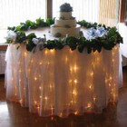 180 LED Table Curtain Warm White Lights