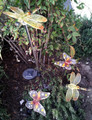 4-Pack Stainless Steel Butterfly and Dragonfly White LED Solar Light