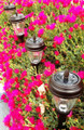 4-Pk Solar Dark Bronze Pathway Steel  Lights