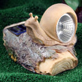 Solar Cute Snail Spotlight
