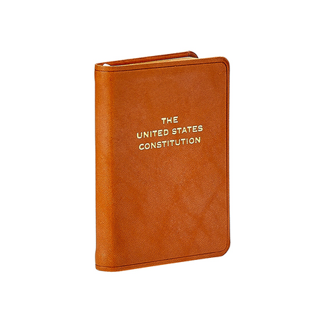 Mini United States Constitution