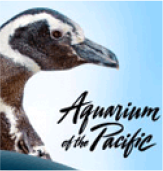 New Recently products