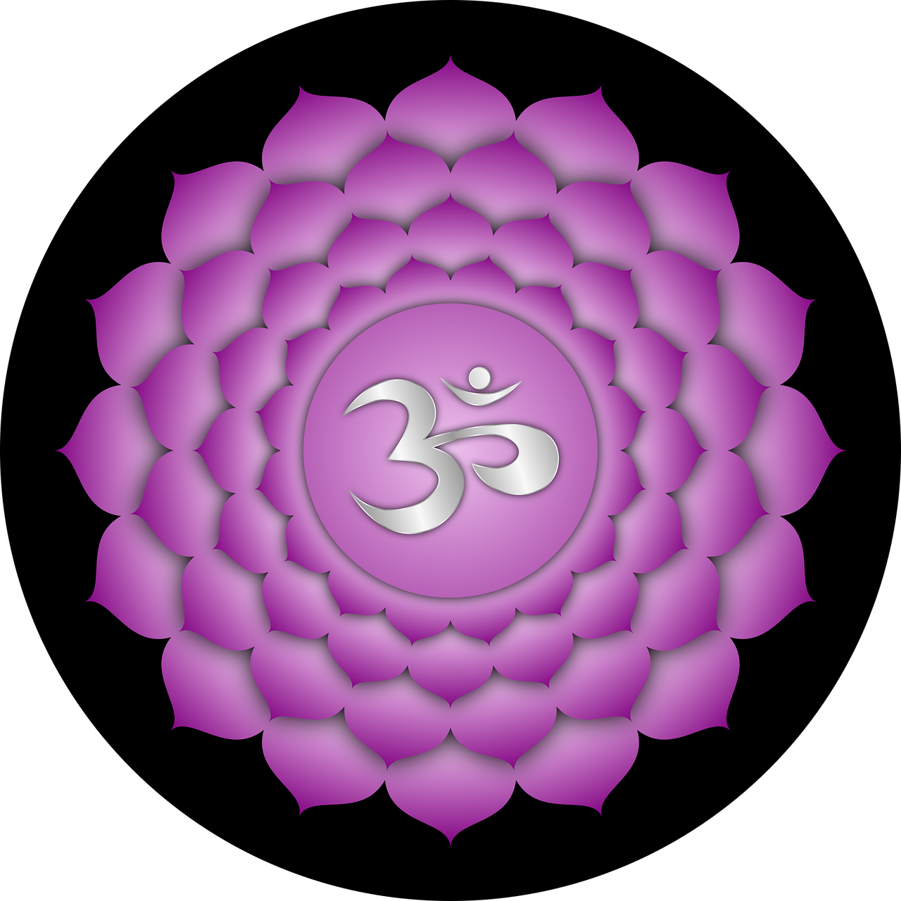 An image showing a thousand petalled lotus which is the symbol for the crown chakra.