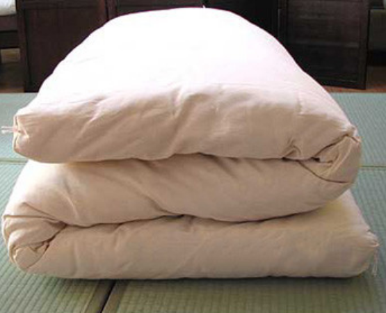 Futon Mattress Covers