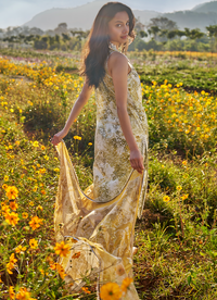 Pakistan Latest Image PrintKari Suit Orlando 03