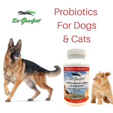 Probiotics/Prebiotics 4 oz