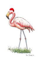 Flamingo With Hat