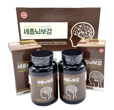세종 뇌보감