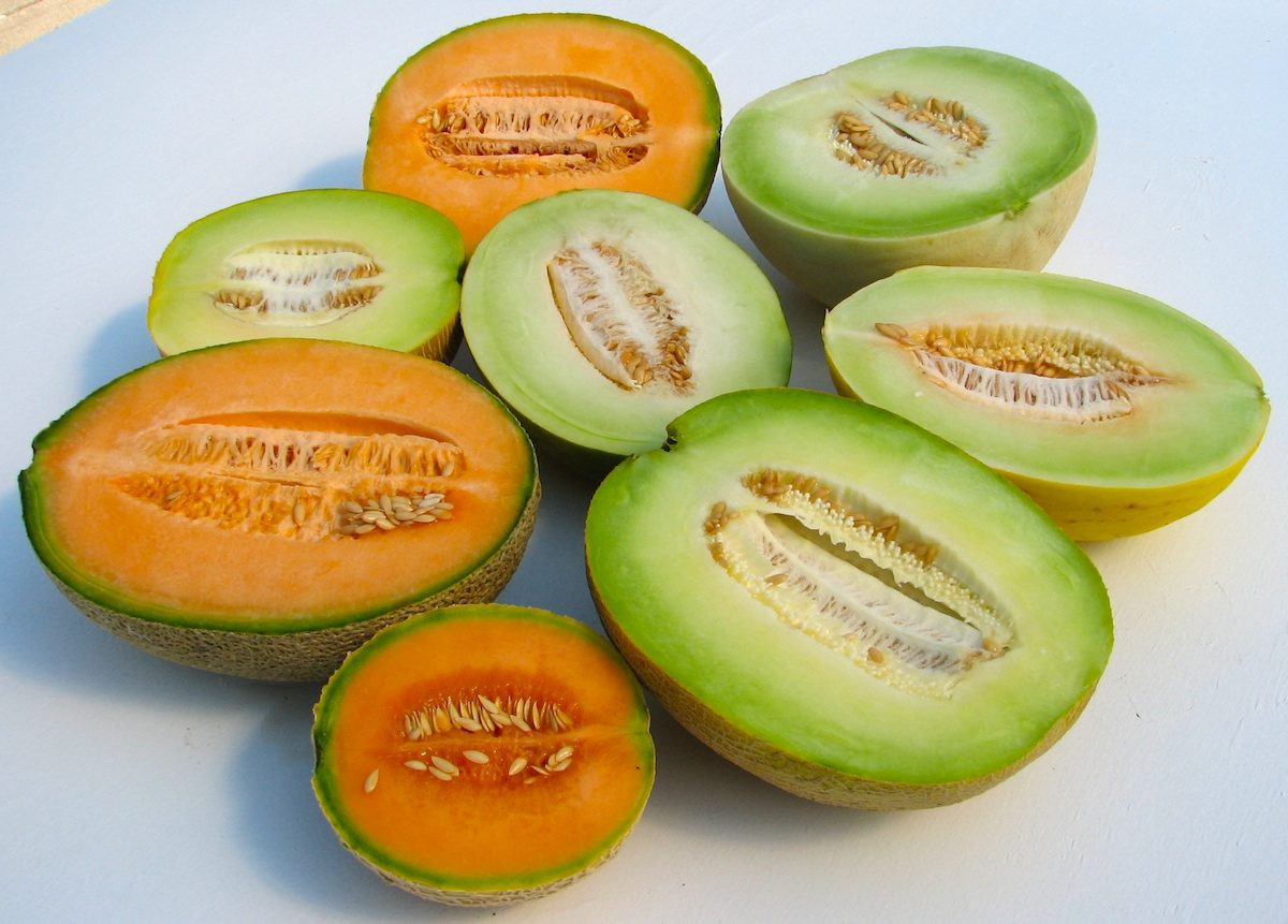 Big Melons Nicotine Juice Madtown Vapor Big Melons Nicotine Juice Madtown Vapor