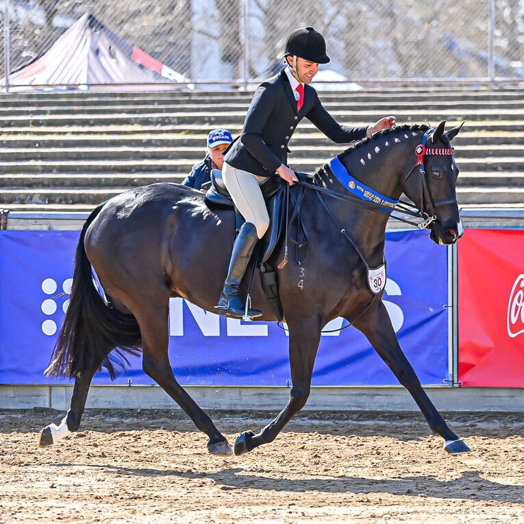 3100angela-decrea-insta-size-resized.jpg