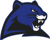 Panther Mascot / Cougar Mascot 17