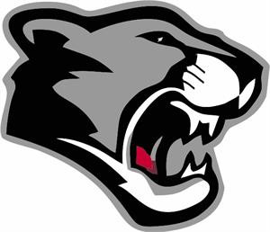 Panther Mascot / Cougar Mascot 19