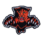 Panther Mascot / Cougar Mascot 20
