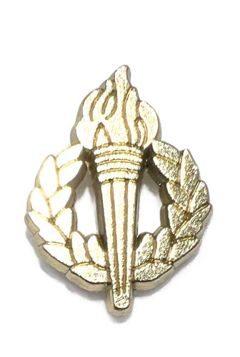 Torch & Wreath Varsity Letter Pins