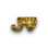JV Varsity Letter Pins