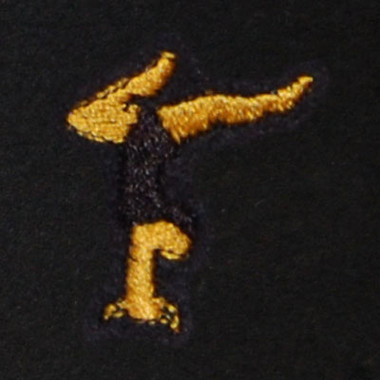 Gymnast Embroidered Swiss Insert