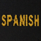Spanish Embroidered Swiss Insert