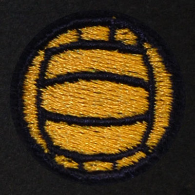 Volleyball Embroidered Swiss Insert