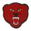 Bear Mascot 3
