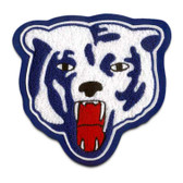 Bear Mascot 4