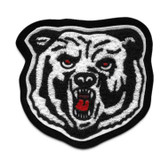 Bear Mascot 6
