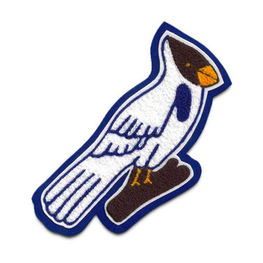 Blue Jay Mascot 3