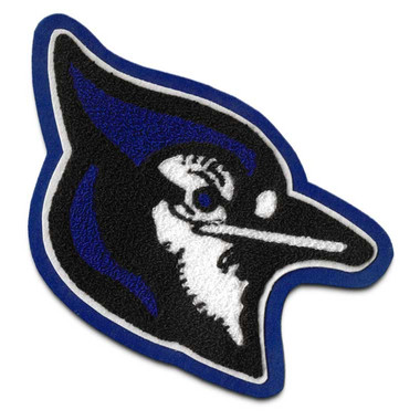 Blue Jay Mascot 5