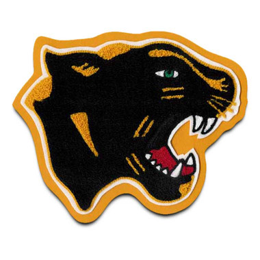 Panther Mascot / Cougar Mascot 1