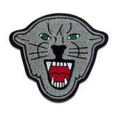 Panther Mascot / Cougar Mascot 5