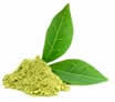 matcha-leaf.jpg matcha-leaf.jpg