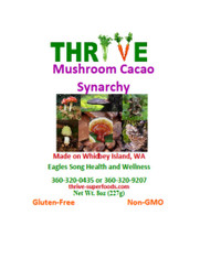 Mushroom Cacao Synarchy