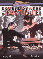 DOUBLE DRAGON IN LAST DUEL BRAND NEW SEALED FL6