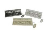 KeyTronic E03601U2M Black keyboard & optical mouse bundle