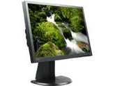 lenovo Business Black 24" 7ms LED Backlight LCD Monitor