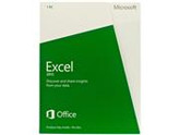 Microsoft Excel 2013 Product Key Card (no media) - 1 PC