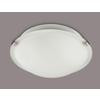 1-Light Brushed Pewter Flushmount With Opal Glass