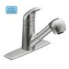 Integra 1 Handle Kitchen Faucet with Matching Pullout Wand - Chrome Finish