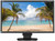 NEC Display Solutions Black 24" 6ms LED Backlight LCD Monitor Built-in Speakers