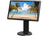 NEC Display Solutions E201W-BK E201W-BK Black 20" 5ms Widescreen LED Backlight LCD Monitor