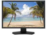 NEC Display Solutions Black 24.1" 8ms LED Backlight LCD Monitor Built-in Speakers