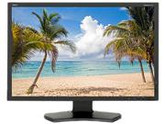 NEC Display Solutions P242W-BK P242W-BK Black 24" 8ms Widescreen LED Backlight LCD Monitor IPS