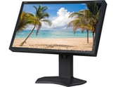 NEC Display Solutions P232W-BK-SV P232W-BK-SV Black 23" 8ms (GTG) Widescreen LED Backlight LCD Monitor, height & pivot adjustable, w/SpectraView