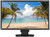 NEC MultiSync EA244UHD-BK 24" 4K IPS LED LCD Monitor - 16:9 - 6ms