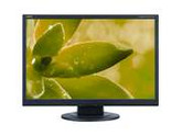 NEC Display Solutions AS192WM-BK Black 19" 5ms Widescreen LED Backlight LCD Monitor Built-in Speakers