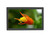 PLANAR Helium PCT2785 Black 27" USB Projected Capacitive Touchscreen Monitor Built-in Speakers