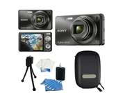 Sony DSC-W290 Black Cyber-Shot Digital Camera Kit
