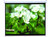 Manual Projector Screen Size:100-4:3